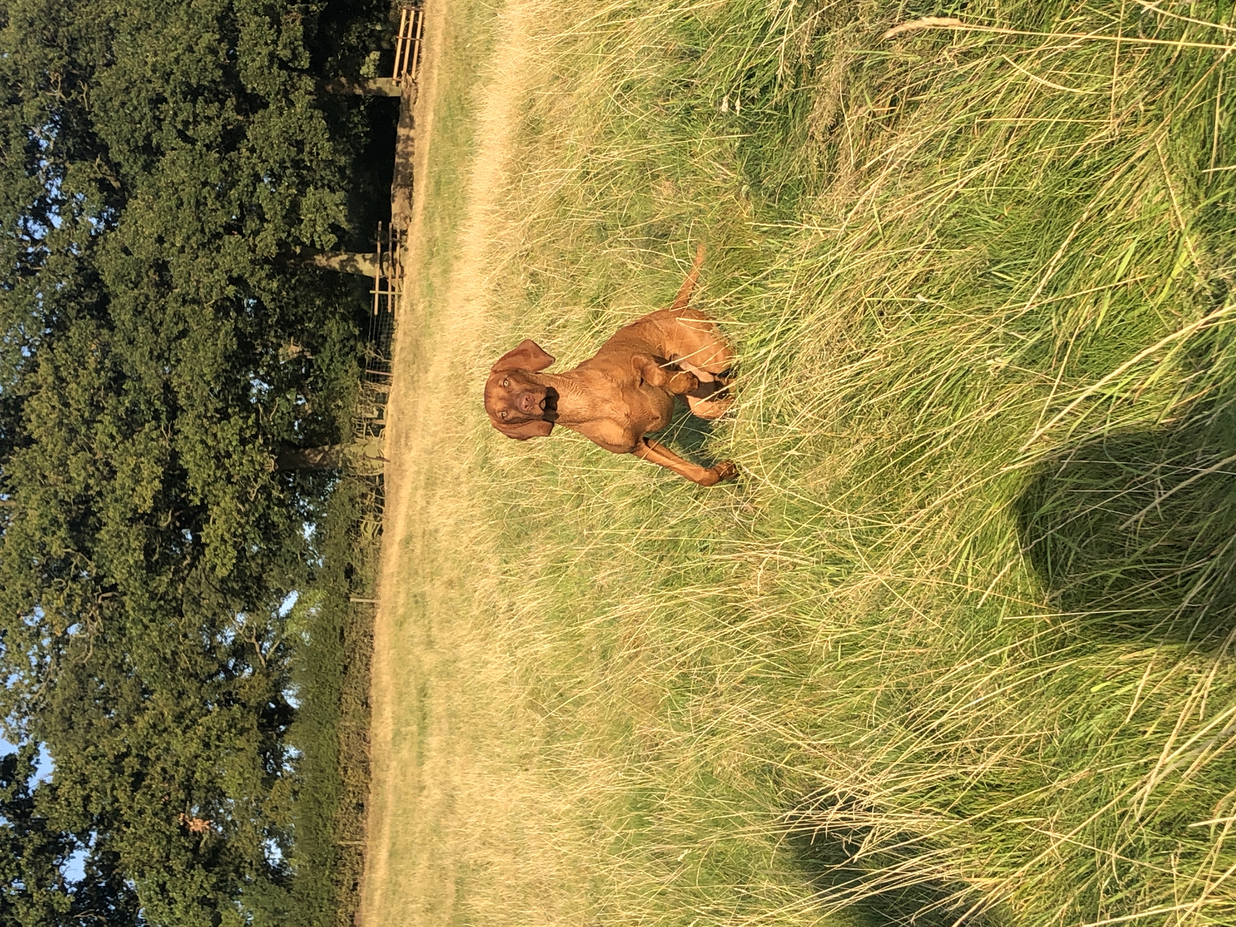 advert_image4084c021-d05e-4a59-ae3d-6d84301f263f.jpeg