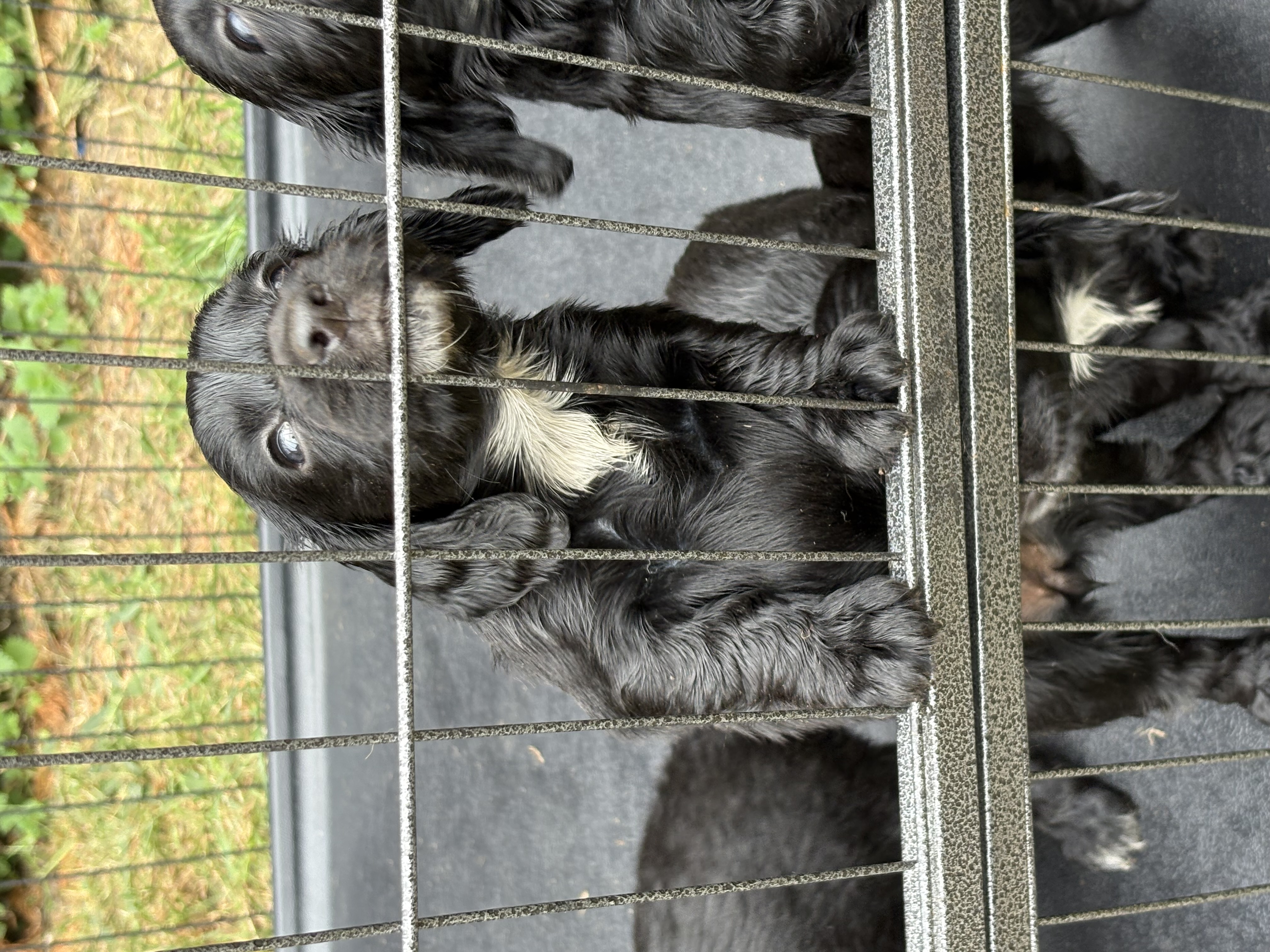 advert_image85ae5d94-3080-4066-a96d-91f6b6a3681b.jpeg